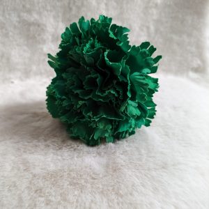 Clavel verde