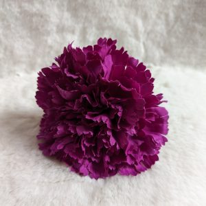 Clavel morado