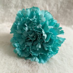Clavel turquesa